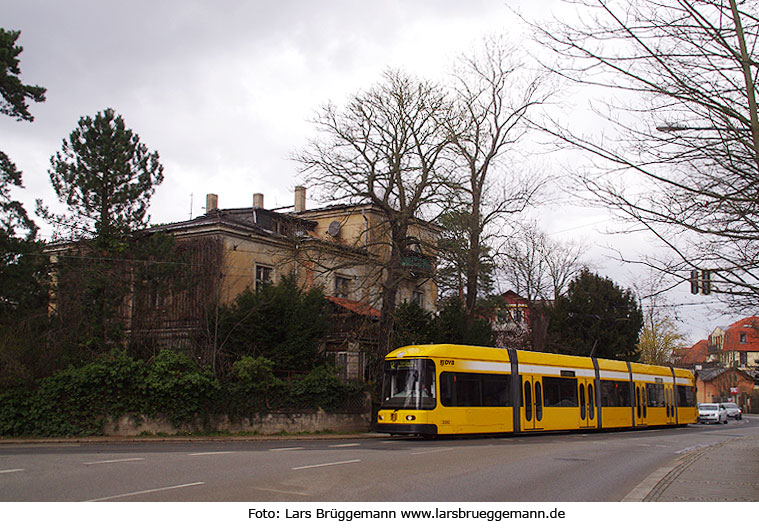 Die Straßenbahn in Dresden an der Haltestelle Gustav-Freytag-Straße