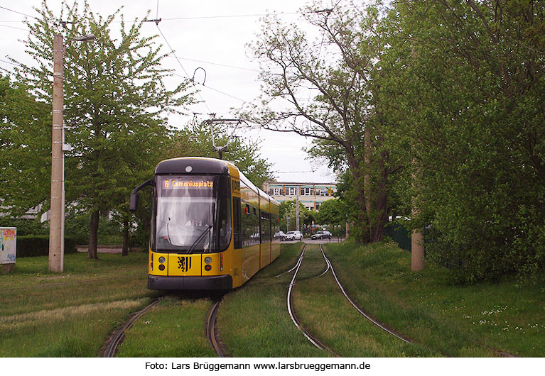 Eine Straßenbahn in Dresden auf dem Rasengleis am Straßburger Platz