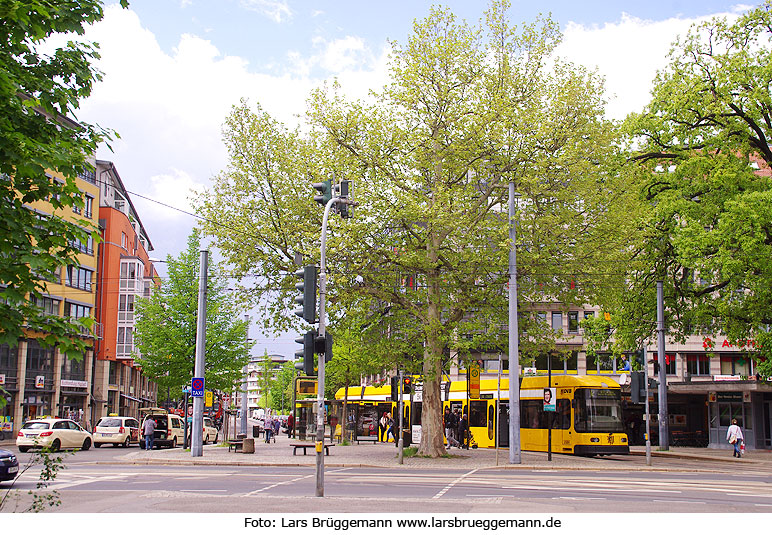 Die Straßenbahn in Dresden - Haltestelle Fetscherplatz