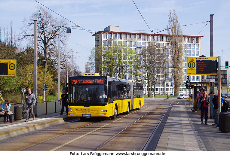 Taeter Tours an der Haltestelle Lennèplatz