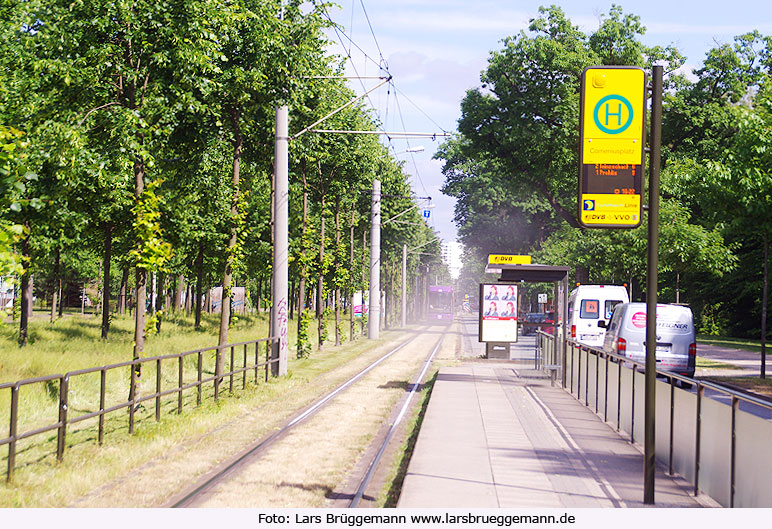 Die Haltestelle Commeniusplatz der Straßenbahn in Dresden