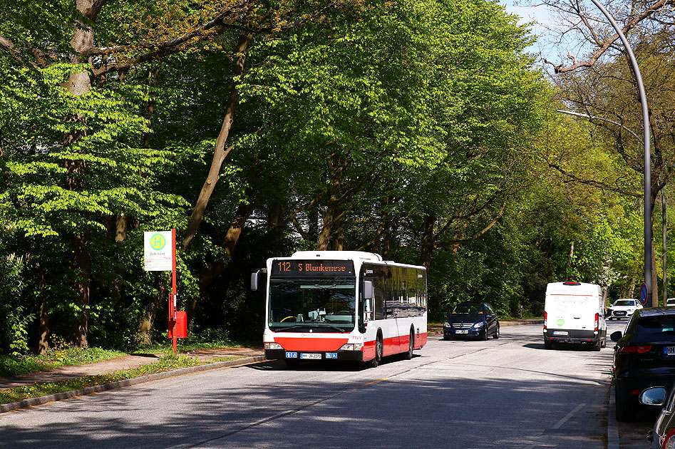 Die Bushaltestelle Zedernweg an der Elbchaussee in Hamburg