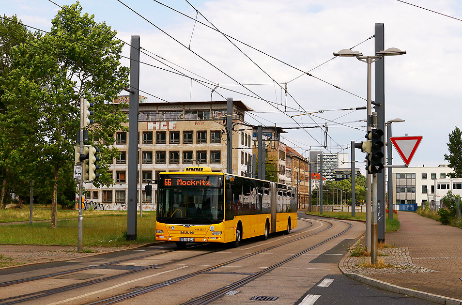 Ein DVB Bus von MAN an der Haltestelle Hauptbahnhof