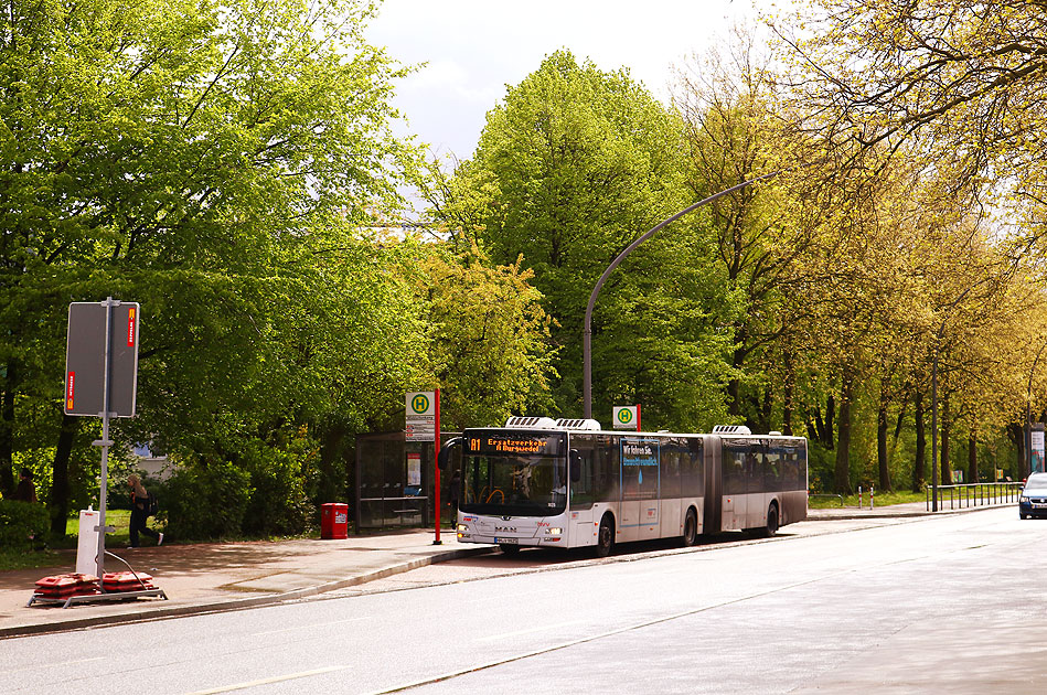 Die Bushaltestelle Wiebischenkamp in Hamburg-Eidelstedt