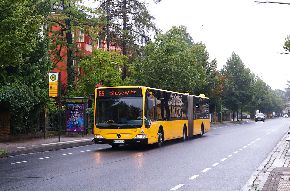 Haltestelle Striesen Niederwaldplatz in Dresden