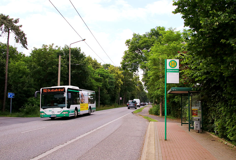 Die Bushaltestelle Dr-Gillwald-Höhe vom Obus in Eberswalde