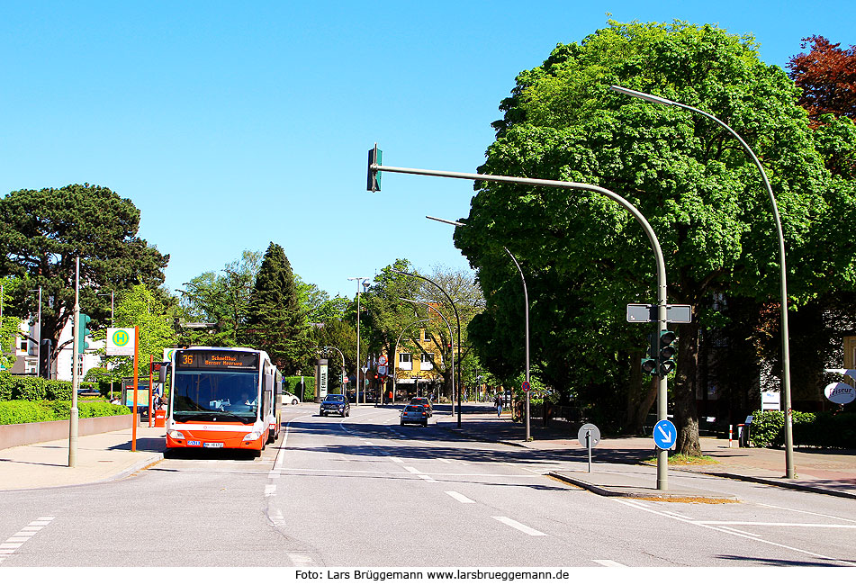 Zwei Hochbahn Schnellbusse an der Haltestelle S-Bahn Blankenese