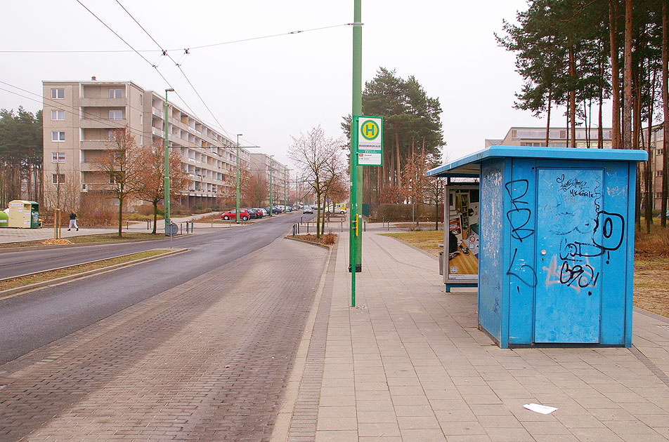 Die Bushaltestelle Brandenburger Allee vom Obus in Eberswalde