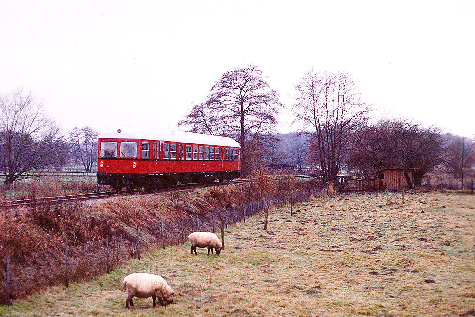 GDT Triebwagen im Bahnhof Neetze an der Bahnstrecke Lüneburg - Bleckede