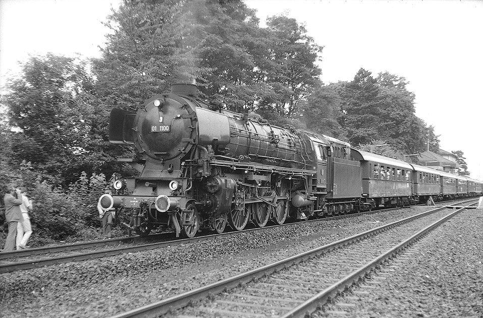 Eisenbahn Fotos auf dieser Webseite: Die Dampflok 01 1100 im Bahnhof Hersbruck rechts der Pegnitz