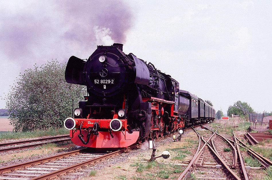 Die Dampflok 52 8029-2 im Bahnhof Drögennindorf - OHE
