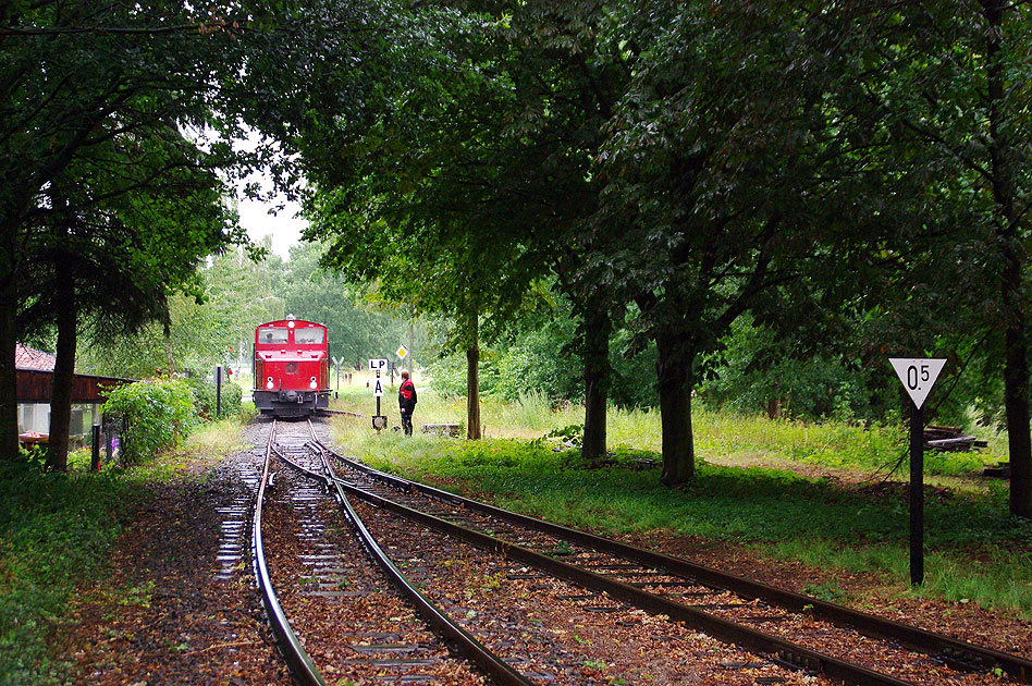 Die DEV V 29 im Bahnhof Heiligenberg