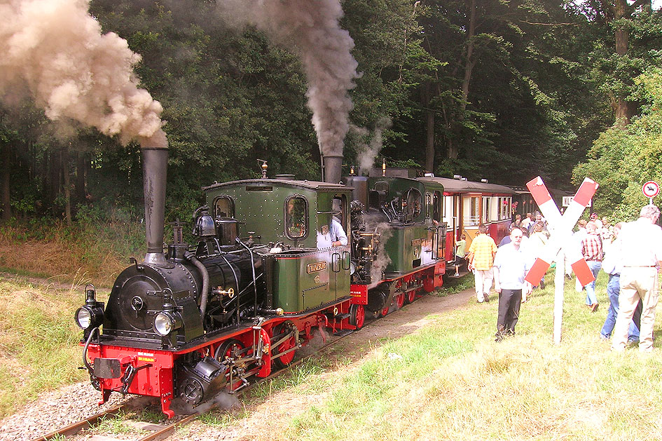 Die Dampfloks Franzburg und Spreewald vom DEV in Vilser Holz