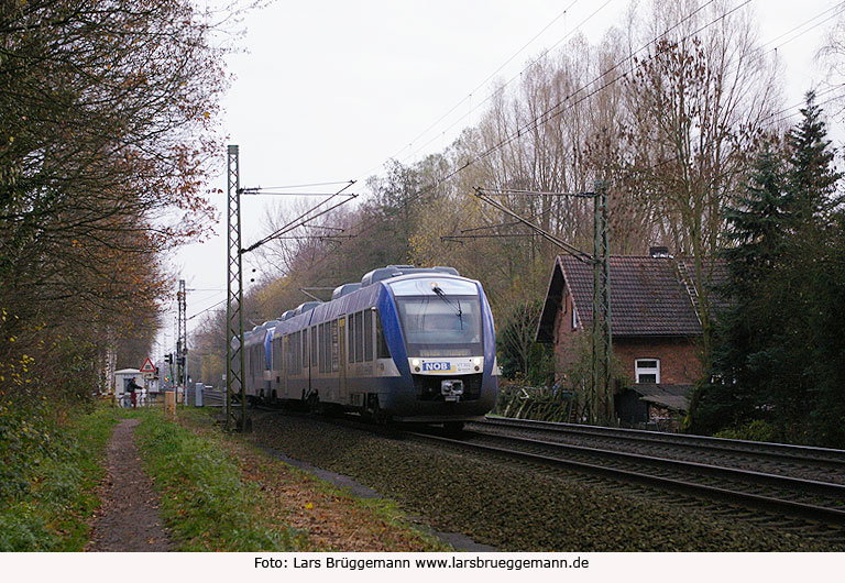 NOB Lint Triebwagen in Prisdorf