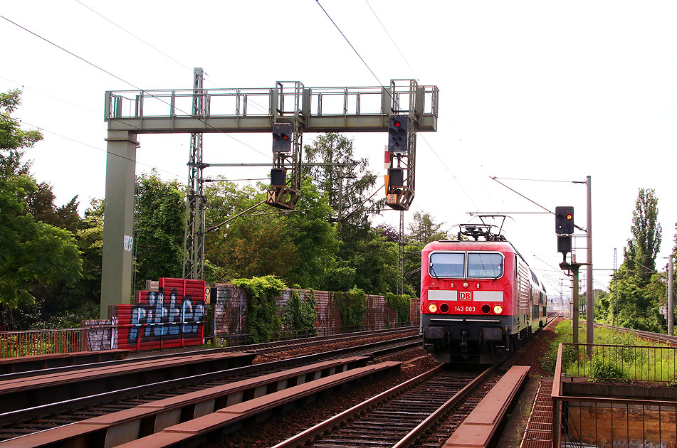 Die 143 883 bei der S-Bahn in Dresden am Haltepunkt Strehllen