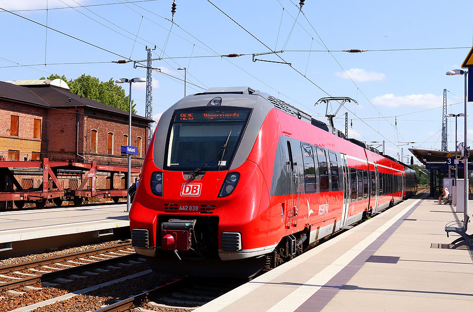 Eine Hamsterbacke der Baureihe 442 im Bahnhof Ruhland