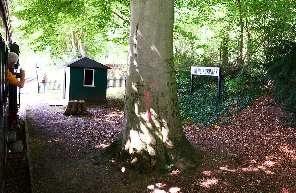 Der Bahnhof Wiehe Kurpark an der Museumsbahn Bruchhausen-Vilsen - Asendorf