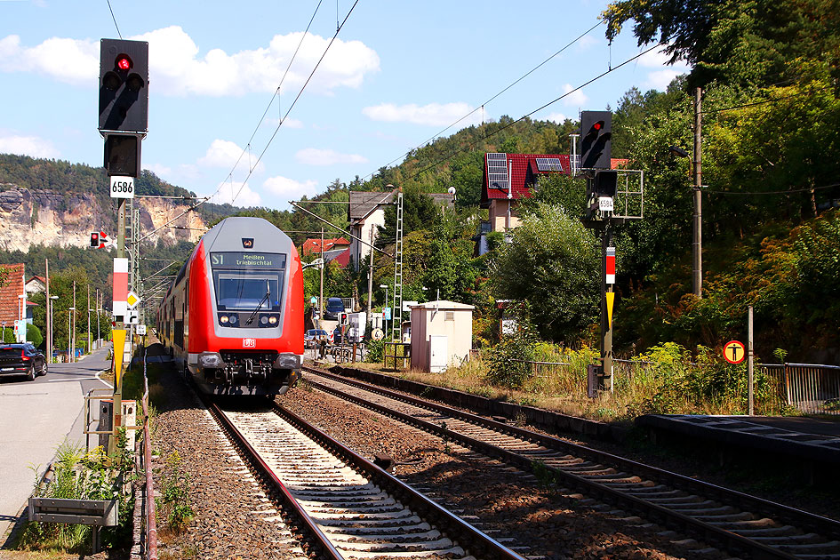 Eine S-Bahn der S-Bahn Dresden nach Meißen Triebischtal fährt in den Bahnhof Stadt Wehlen ein