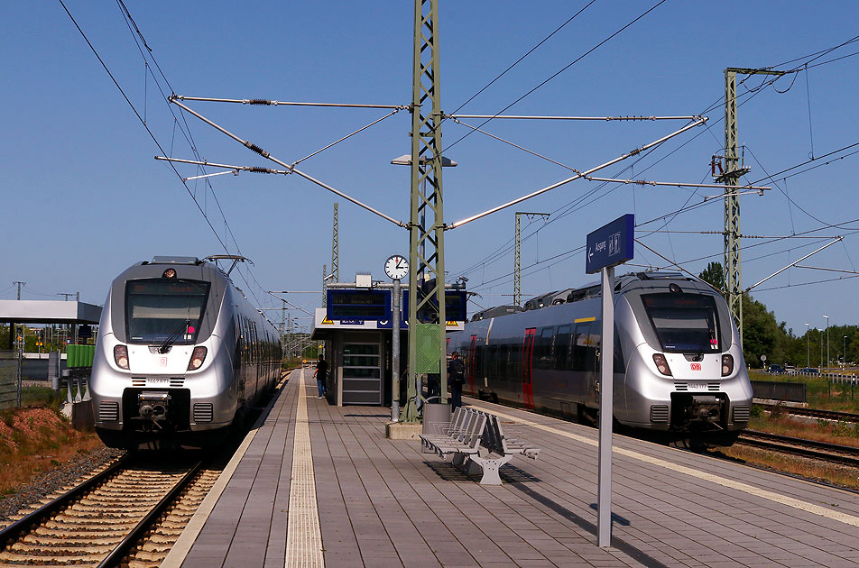 Zwei Hamsterbacken - Talent 2 in Lutherstadt Wittenberg Hbf