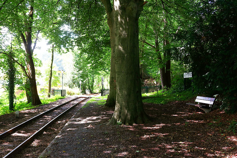 Der Haltepunkt Wiehe Kurpark