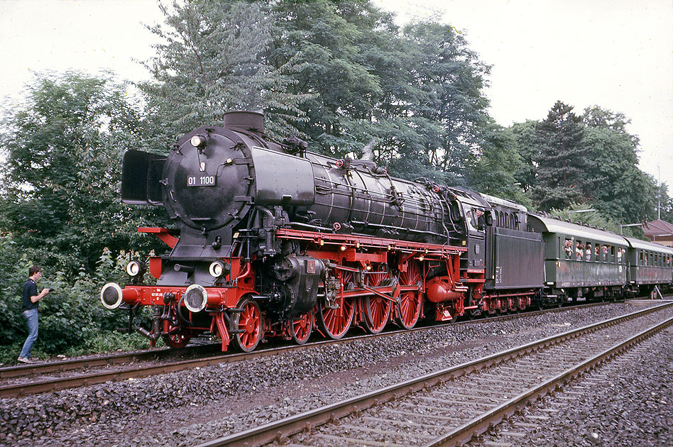 Die 01 1100 mit einem Sonderzug im Bahnhof Hersbruck rechts der Pegnitz