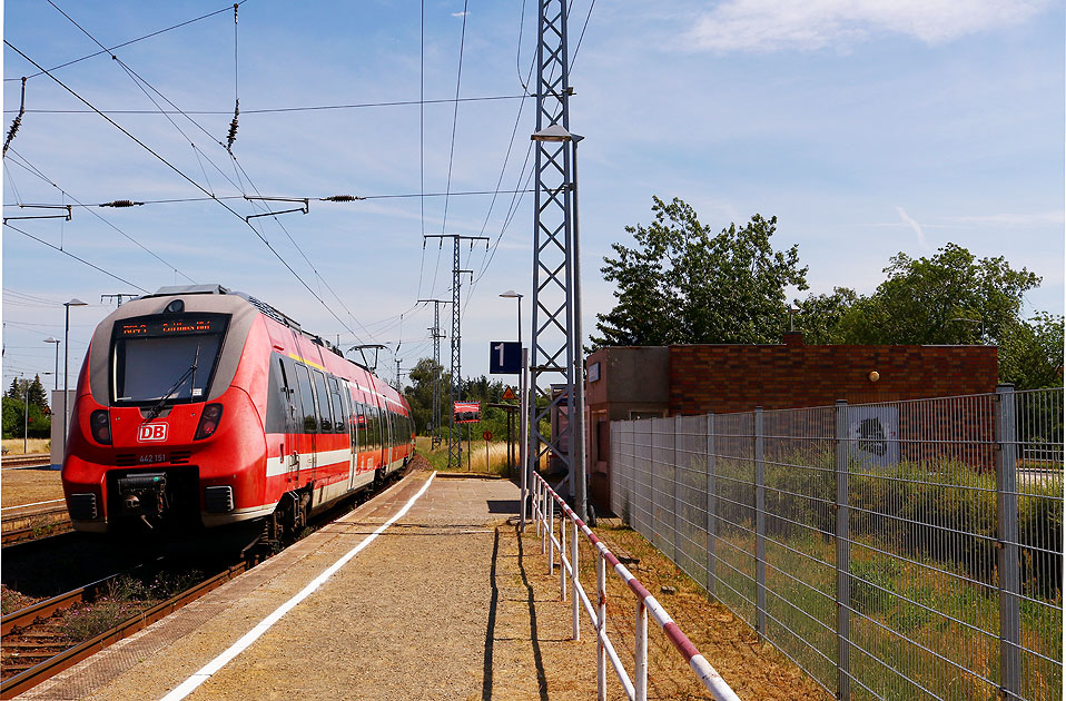 Ein 442 im Bahnhof Sedlitz Ost