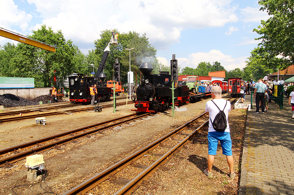 Dampfloks bei der Parkeisenbahn Cottbus