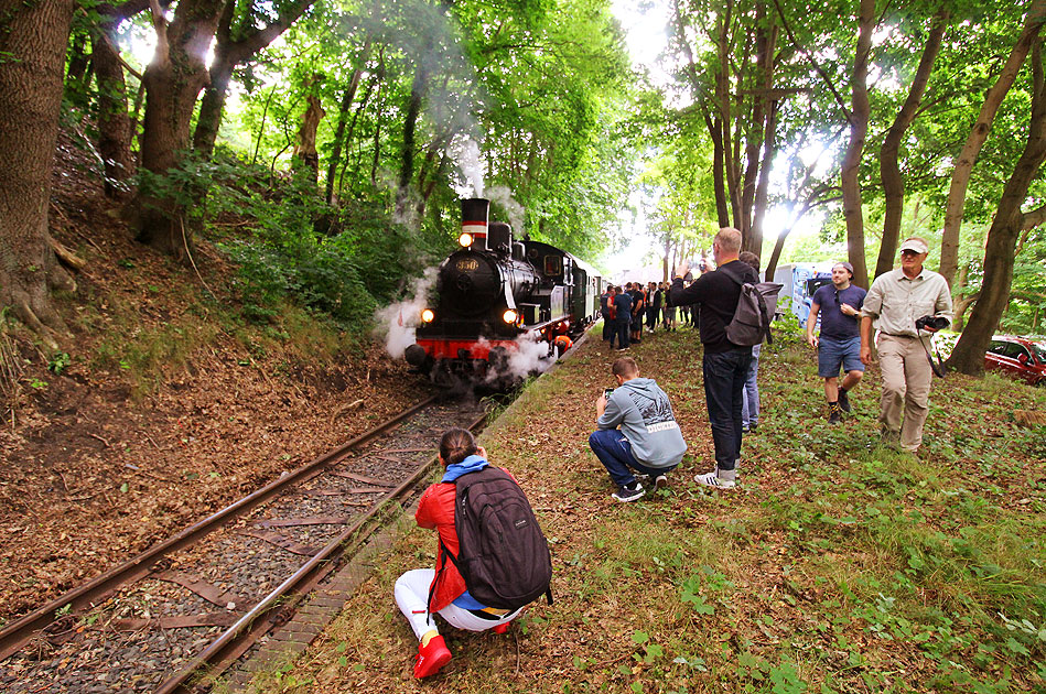 Die GE Dampflok Karoline in Krümmel