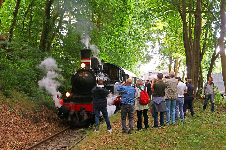 Die GE Lok Karoline DSB 350 im Bahnhof Krümmel