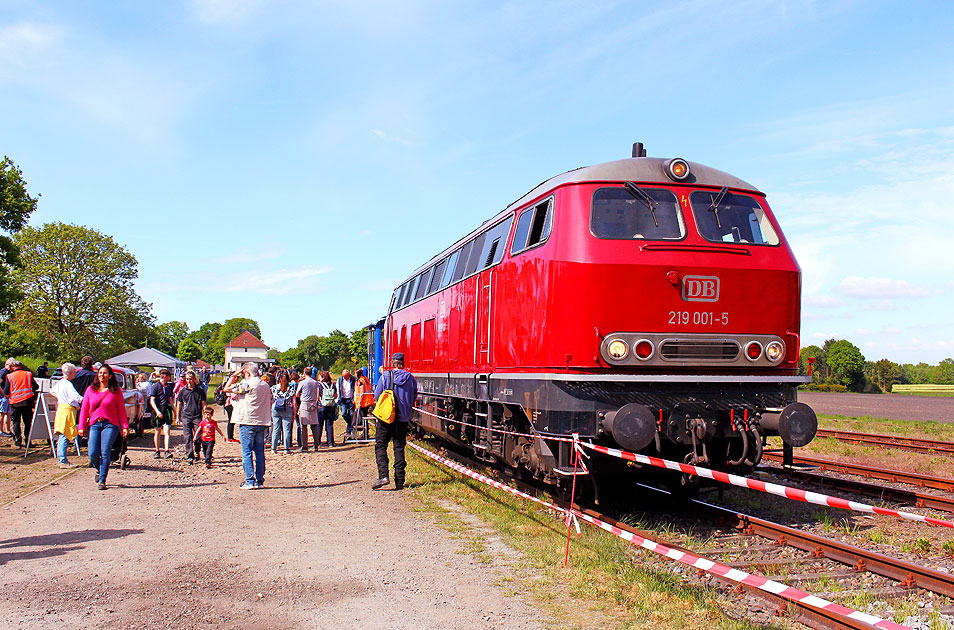 Die 219 001-5 von Lokrapid im Bahnhof Gnarrenburg
