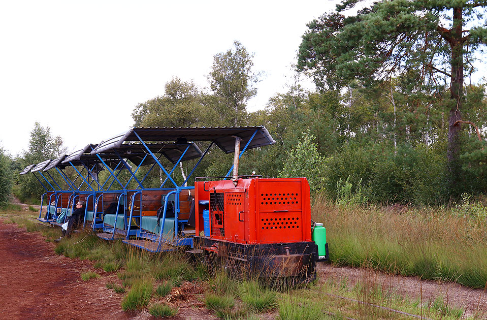 Die Rote Lok von der Torfbahn im Himmelmoor bei Quickborn