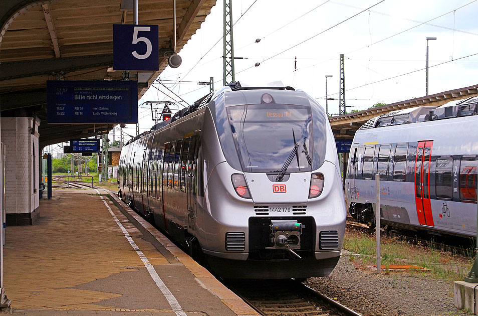 Eine Hamsterbacke in Dessau Hbf