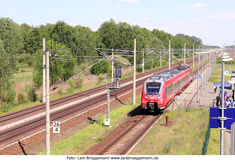 Ein Triebwagen der Baureihe 442 im Bahnhof Elstal