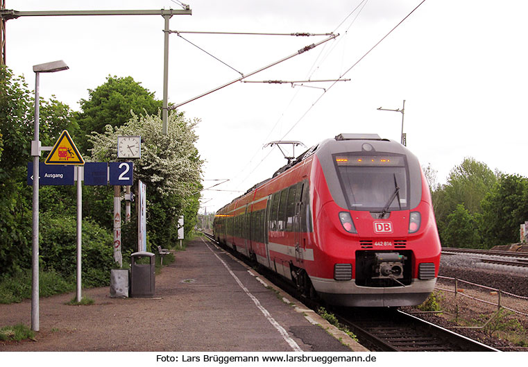 Ein Triebwagen der Baureihe 442 im Bahnhof Dresden-Trachau