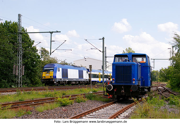 Die NOB Lok DE 2000-01 und die NEG Lok 01 in Tornesch