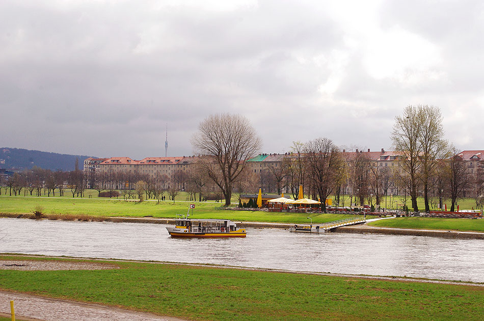 Elbfähre Johannstaddt in Dresden von der DVB