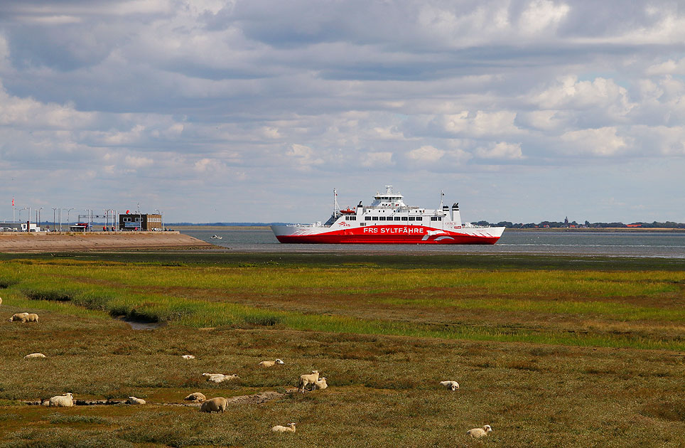 Der Römöexpress der Syltfähre in Havneby auf Römö in Dänemark