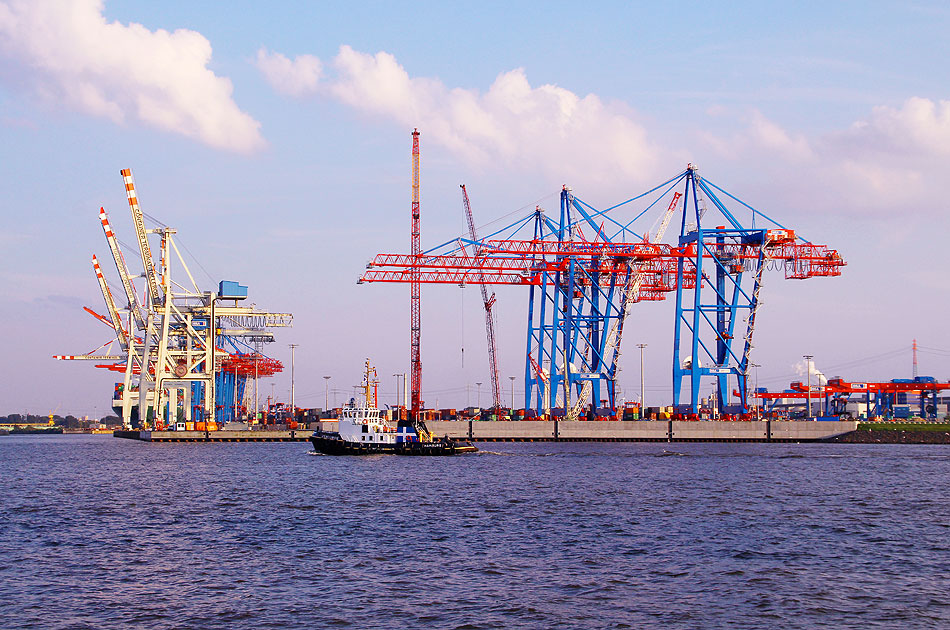 Der Schlepper Wilhlmine im Hamburger Hafen vor dem Tollerort