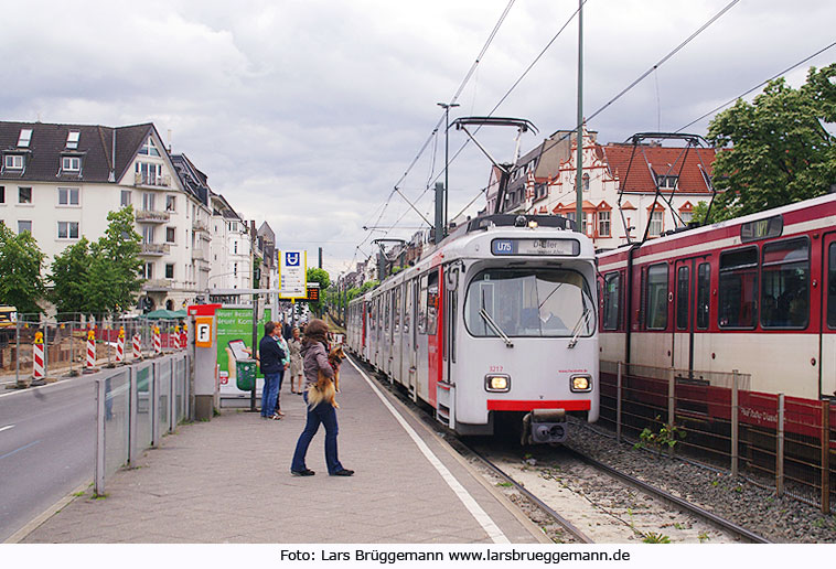 Foto: Lars Brüggemann - www.larsbrueggemann.de