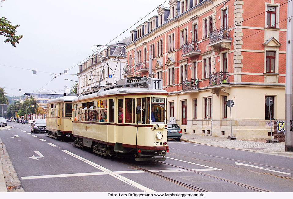 Der große Hecht der Straßenbahn in Dresden