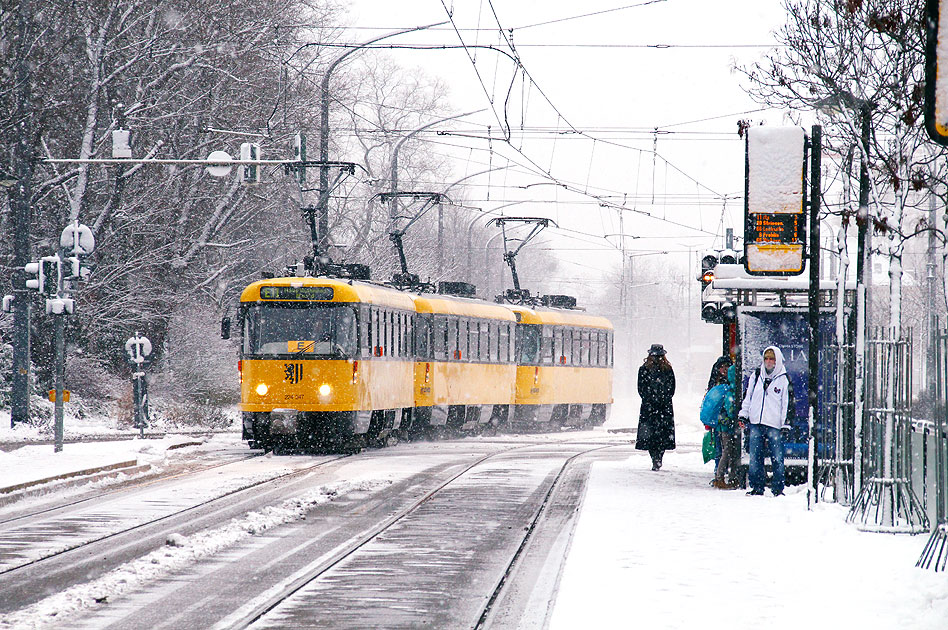 Die Straßenbahn in Dresden an der Haltestelle Gret-Palucca-Straße