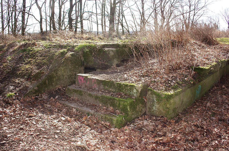 Eine Treppe im Bahnhof Beimoor - Ein Geisterbahnhof