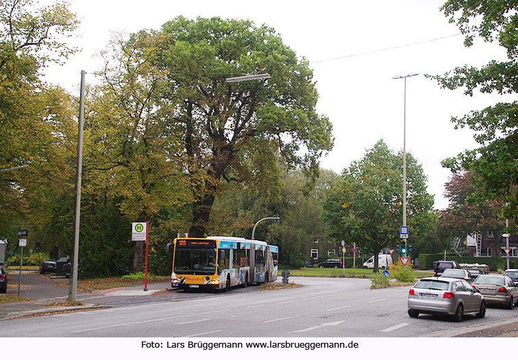 Haltestelle Hindenburgstraße in Hamburg