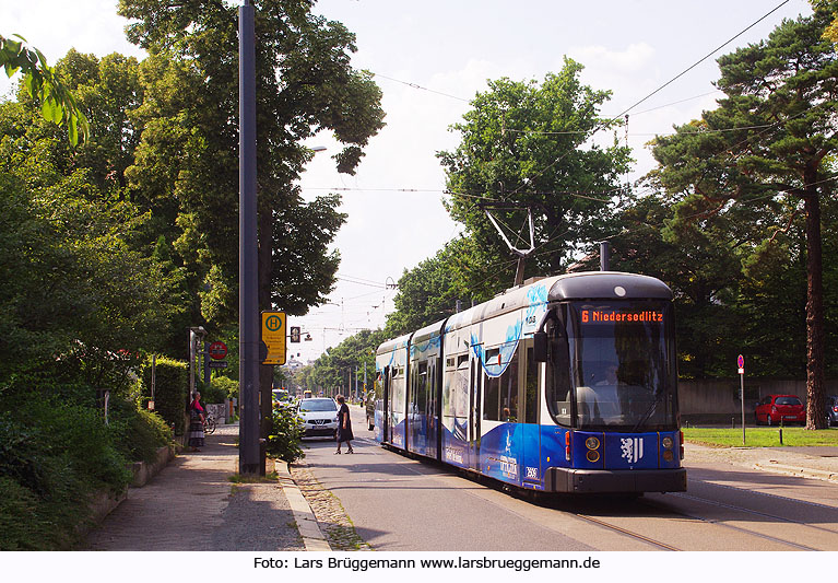 Dresden Straßenbahn - Haltestelle Tolkewitz Urnenhain