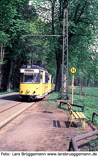 Die Kirnitzschtalbahn an der Haltestelle Nasser Grund