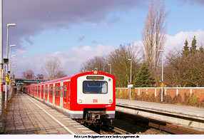 Foto: Lars Brüggemann - www.larsbrueggemann.de