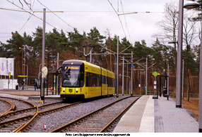 Die Straßenbahn in Dresden an der Haltestelle Abzweig nach Hellerau - Infineon Süd - Foto: Lars Brüggemann - www.larsbrueggemann.de