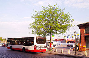Buslinie 111 in Hamburg - Haltestelle Fischauktionshalle