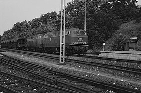 Die 218 212-9 mit einem Güterzug im Bahnhof Hersbruck r.P.