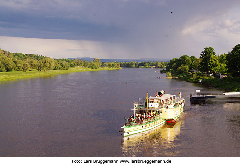 Das Schiff Stadt Wehlen der Sächsischen Dampfschiffahrt am Blauen Wunder in Dresden